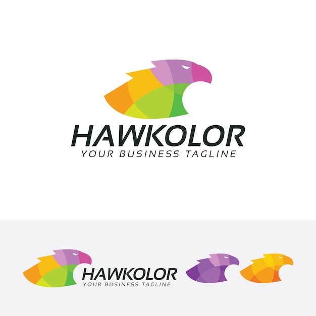 Hawk kleur logo sjabloon