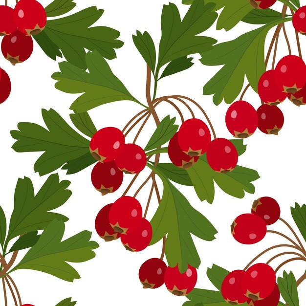 Vector hawthorn berry with leaves isolated on white background seamless vector pattern