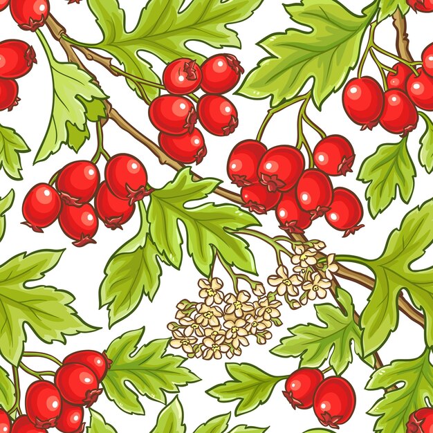 Hawthorn branch vector pattern