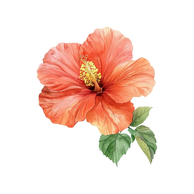 <unk>花的矢量插圖以水彩風格