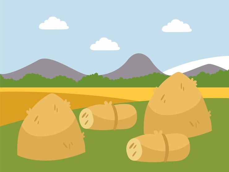 Vector hay bale concept illustration stylish and beautiful