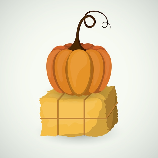 Vector hay and pumpkin icon