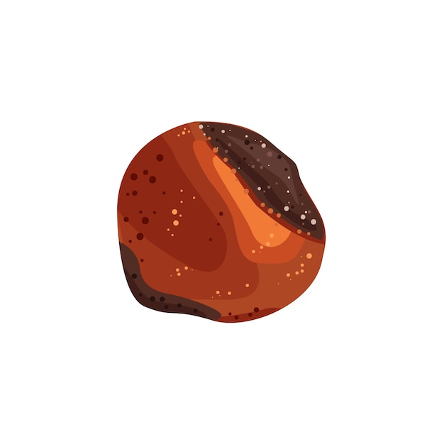 Vector hazelnut abstract illustration useful natural product