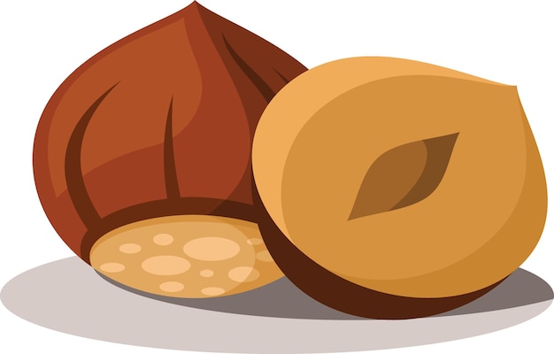 Hazelnut Isolated Background