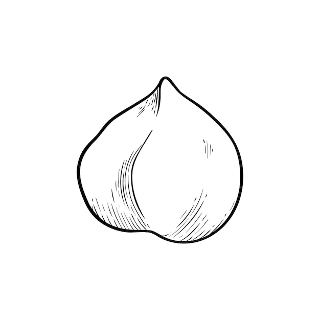 Hazelnut one kernel simple icon in sketch style Hatched nuts for packaging or labels