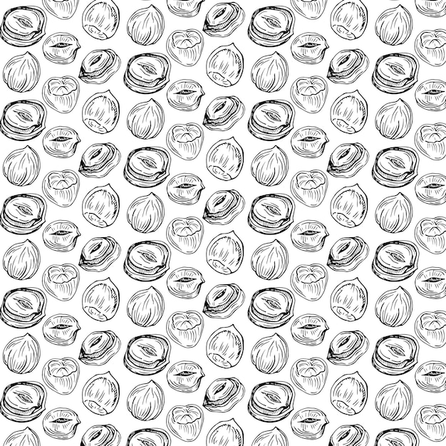 Hazelnuts seamless pattern. Vector illustration of organic food