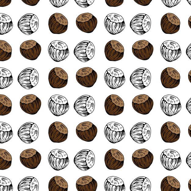 Hazelnuts seamless pattern. vector illustration of organic food