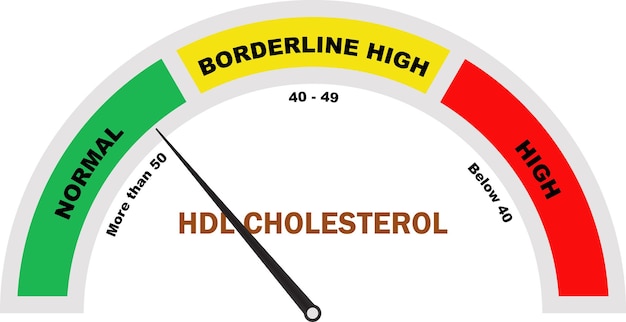 Vector hdl cholesterol niveau cholesterol test hdl cholesteron test cholesterol meter icoon medisch diagnostisch hulpmiddel