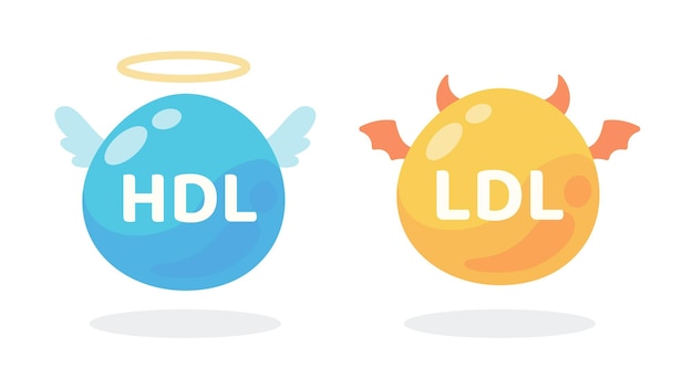 Vector hdl and ldl cholesterol cartoon good fat and bad fat accumulated in the body