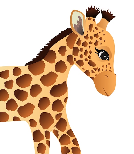 Vector head of baby giraffe cartoon vector illustration