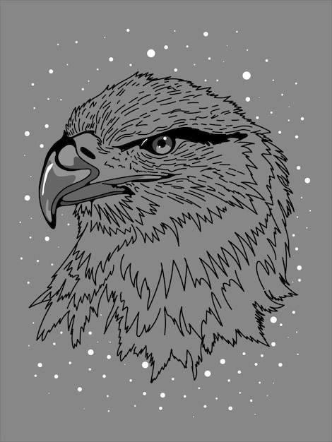 Vector the head of a beautiful proud eagle with a beak.