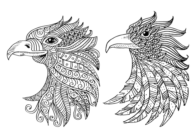 Vector head of eagles zentangle art