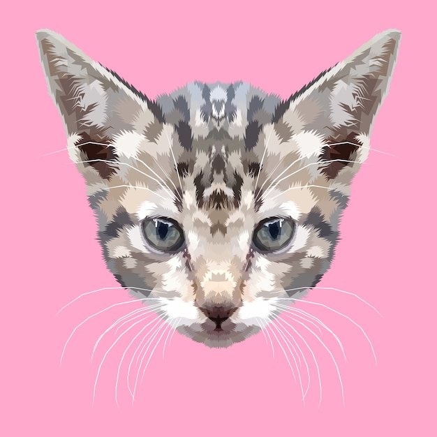 Vector head of kitten on geometric art style