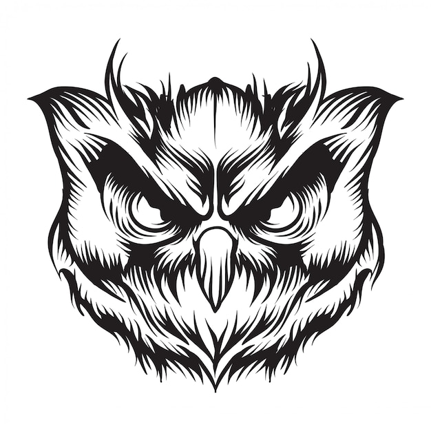 Vector head owl  illustration