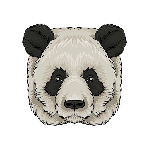 Head of panda bear face of wild animal hand drawn vector Illustration on a white background