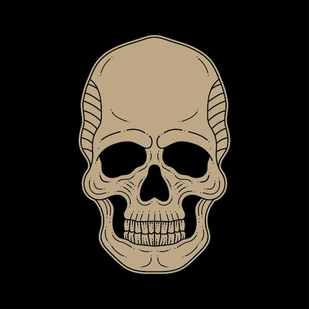 Head skull drawing illustration