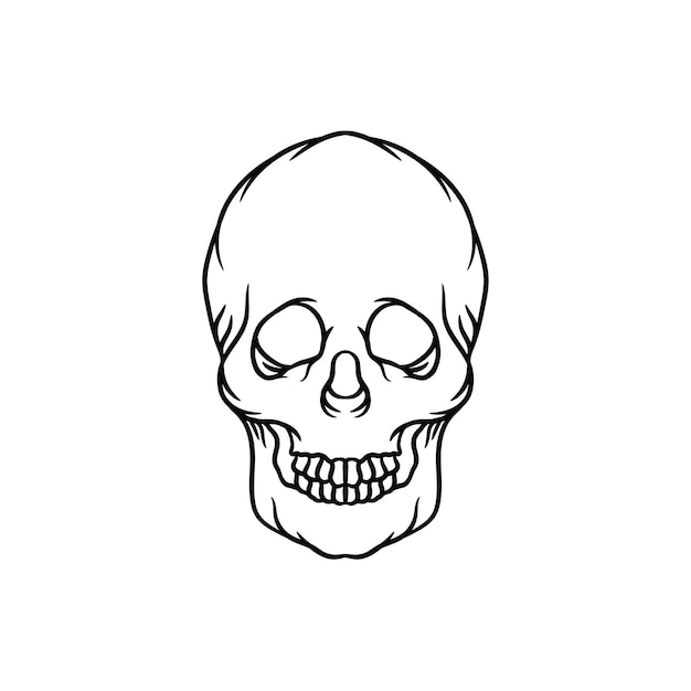 Vettore illustrazione vettoriale del cranio della testa
