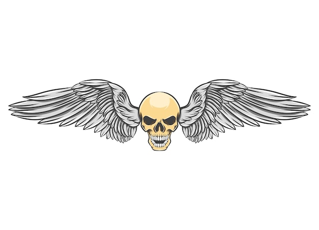 Head skull with the dashing wings