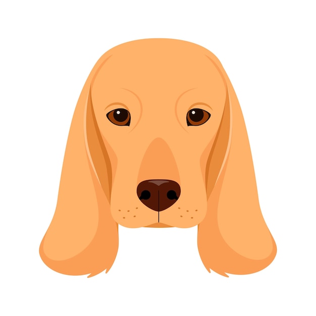 The head of a spaniel dog on a white background Cartoon design