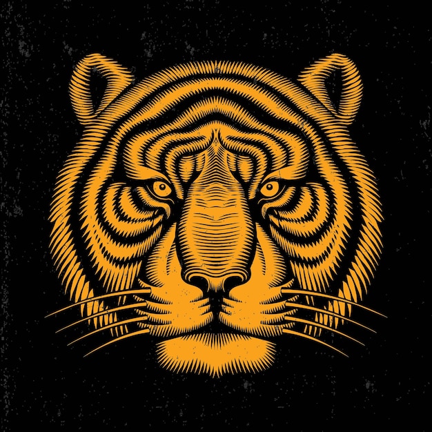 head tiger vectors