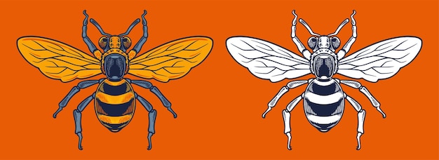 Wasp Vectors & Illustrations for Free Download | Freepik