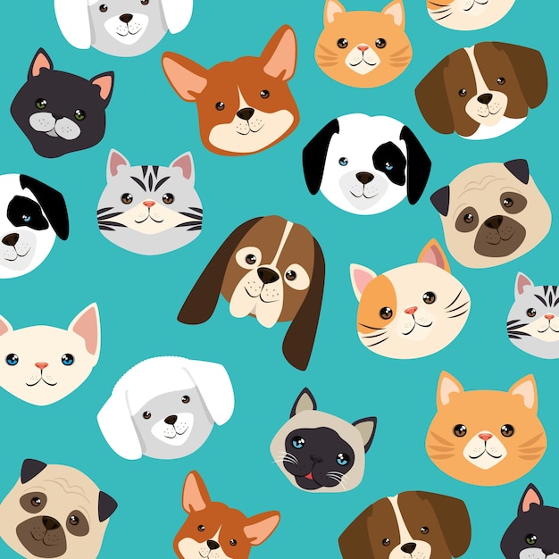 Teste di cani e gatti animali modello