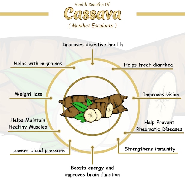 Health benefits of cassava