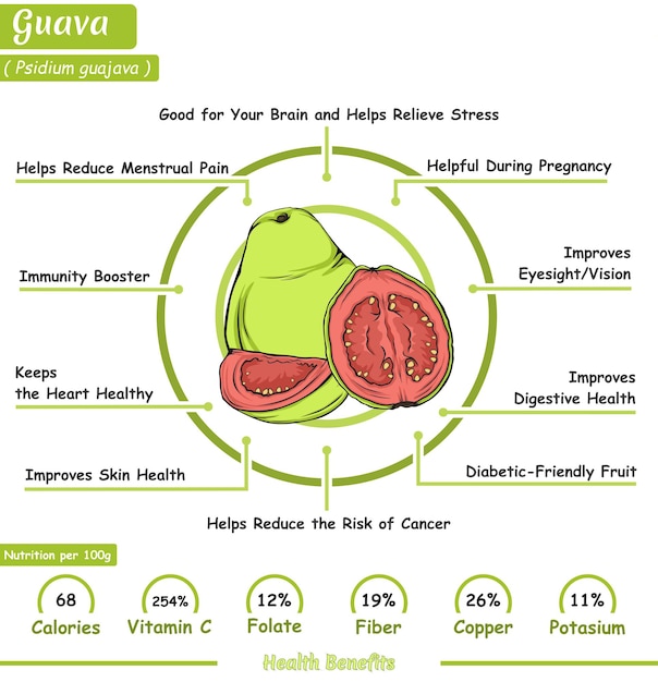 Vettore benefici per la salute di una guava