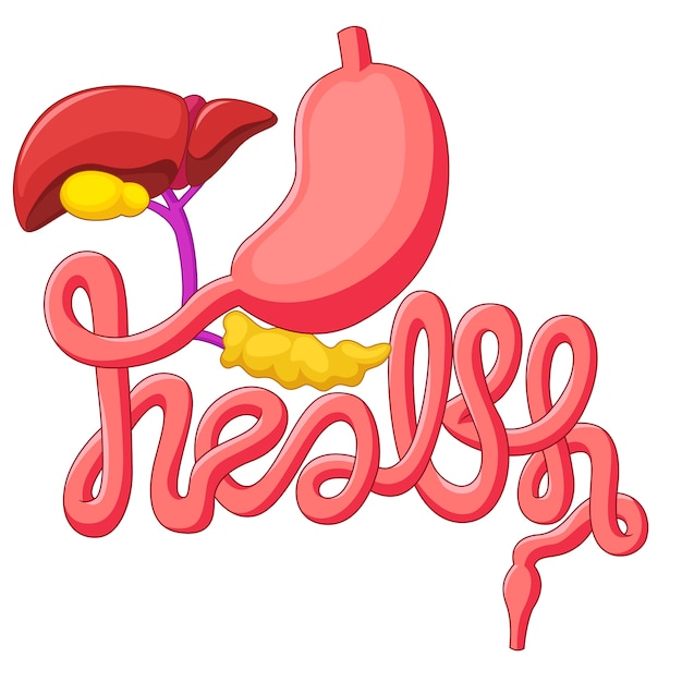 Health campaign symbol human digestive system