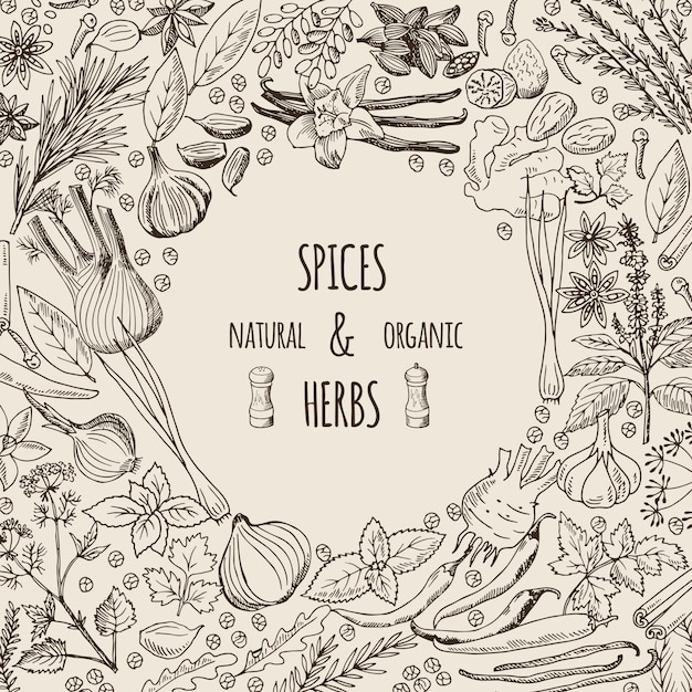 Healthy background illustrations with spices and herbs.