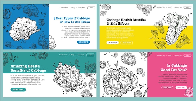 Healthy cabbage benefits concept vector illustration