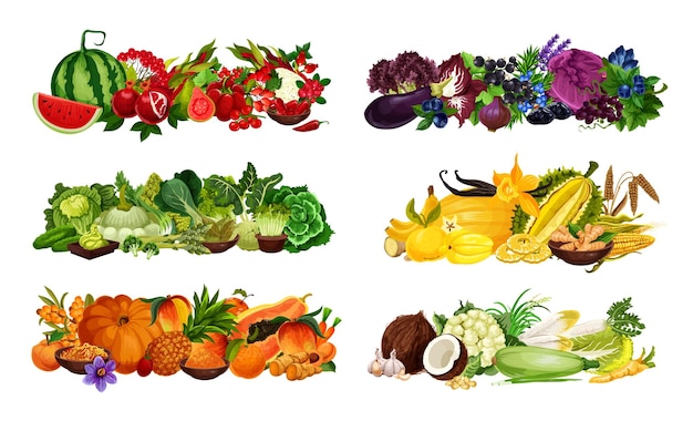 Healthy color diet fruits and veggies berries