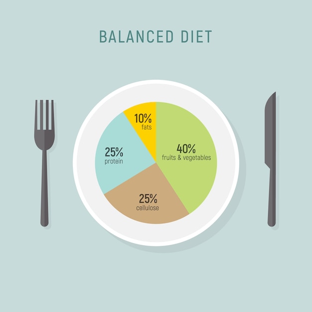 Vettore piatto di nutrizione dell'equilibrio alimentare di una dieta sana grafico del pasto della salute vettoriale concetto di piano dietetico infografico