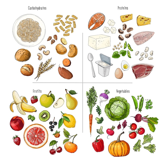 Vettore mangiare sano schema di dieta latticini verdure frutta cereali proteine icone alimentari vettoriali di verdure schizzo colorato di prodotti alimentari