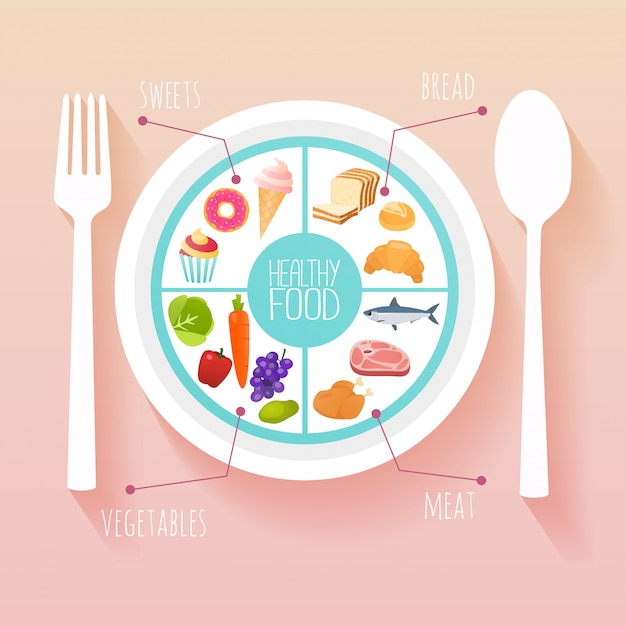 Vector healthy food and dieting concept. plan your meal infographic with dish and cutlery.   style modern  illustration concept.