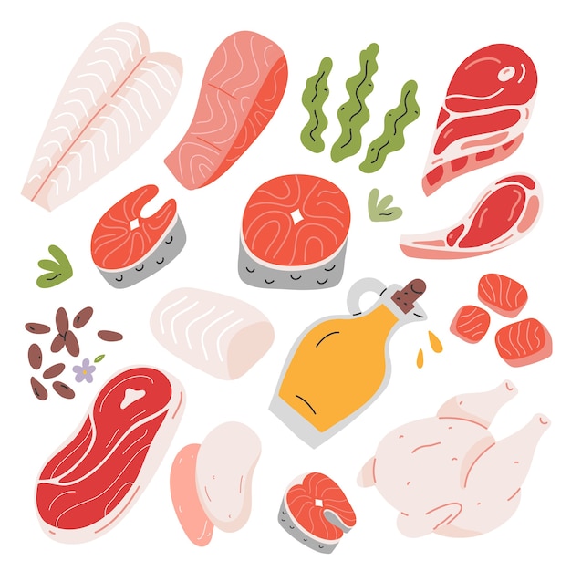 Vettore cibo sano salmone e carne di agnello ingredienti da cucina