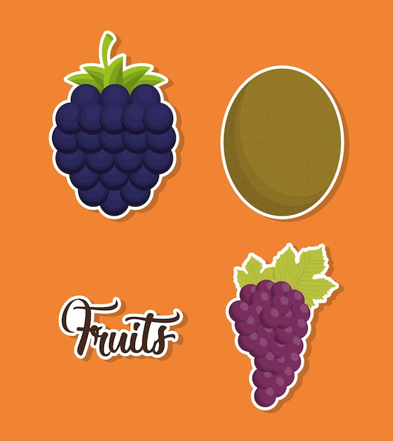 Vector healthy fruits over orange background