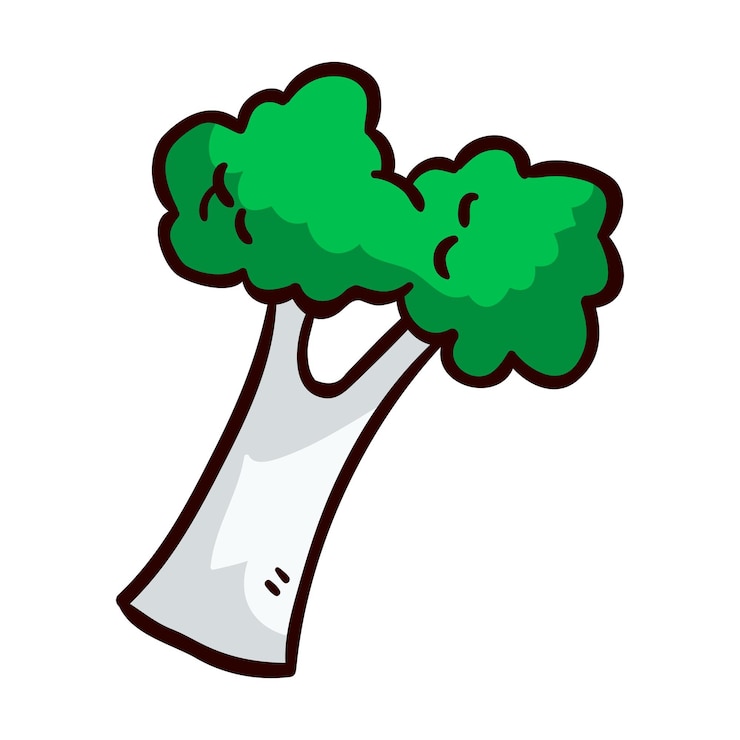 Vector healthy green broccoli graphic illustration on white