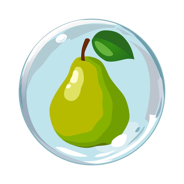 Healthy green pear in air bubble Isolated vector summer fruit for design