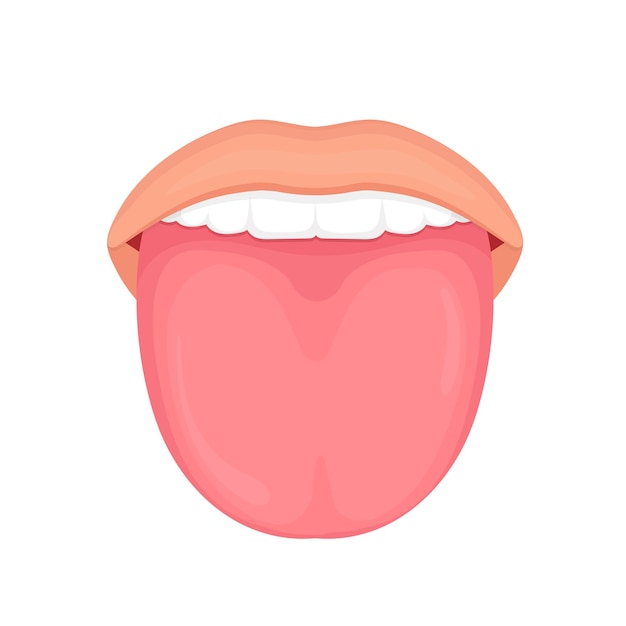 Healthy human tongue vector illustration