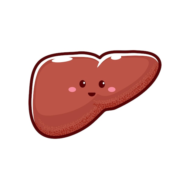 Healthy liver cartoon character with funny face