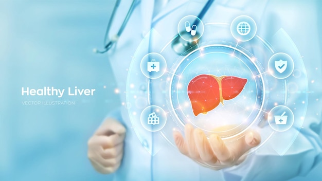 Healthy liver cirrhosis and hepatitis treatment medical concept doctor holding in hand the hologram of human liver and medicine icons network connection on virtual screen vector illustration