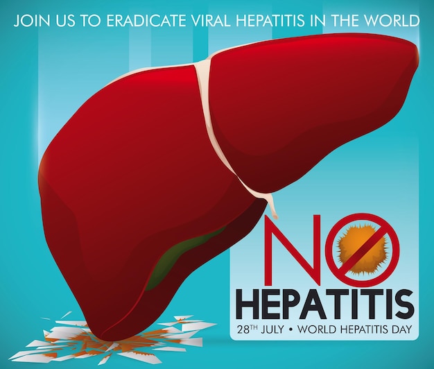 Vector healthy liver crushing virus image promoting eradication of hepatitis