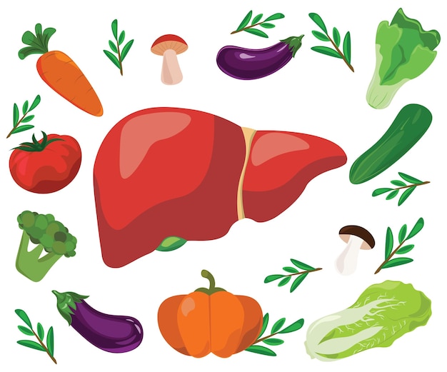 healthy liver