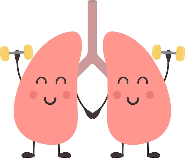 Healthy lungs