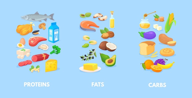 Healthy macronutrients nutrition chart of carbohydrates fats proteins complex diet macros food carbs healthy balance vegetables seafood meal antioxidants cartoon neat vector