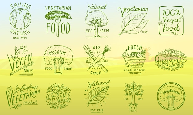 Healthy Organic food logos set or labels and elements for Vegetarian and Farm green natural vegetables products vector illustration badges healthy life engraved hand drawn in old sketch