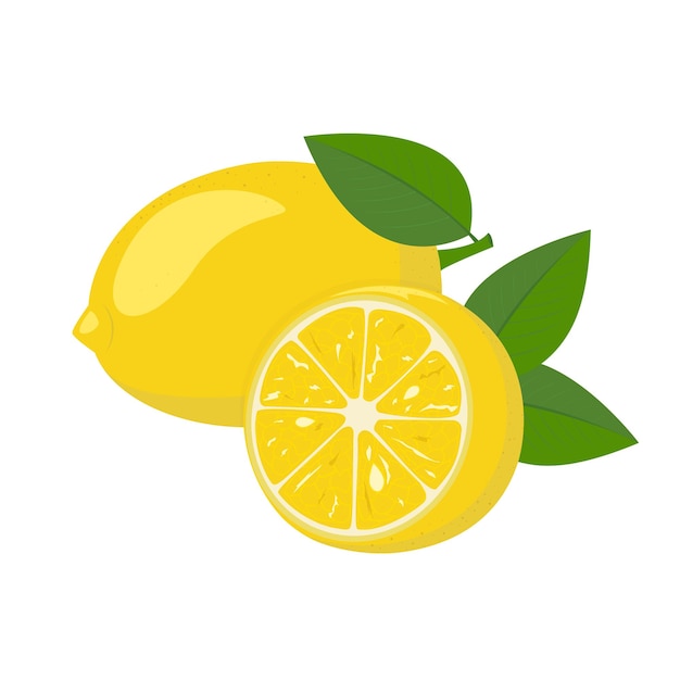 Healthy organic fruit fresh juicy yellow product on a white background half a lemon vector illustrat