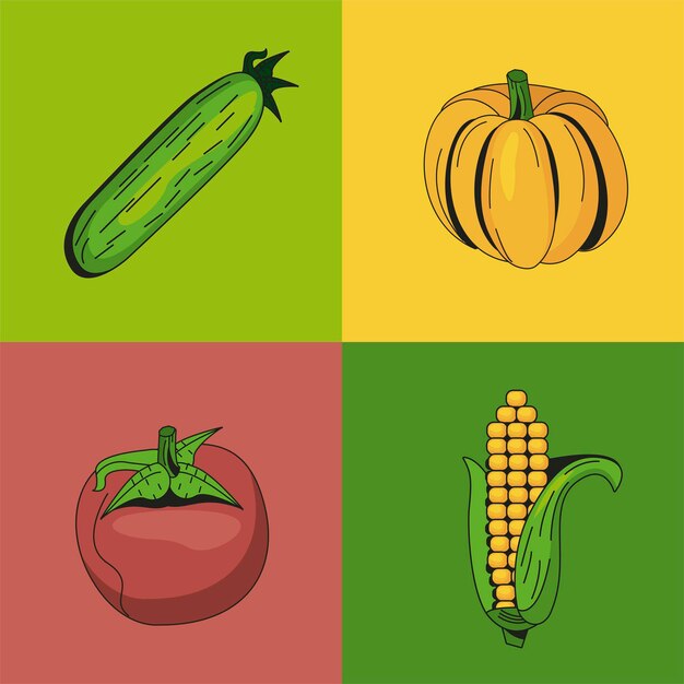 Vector healthy and organic vegetables symbol collection