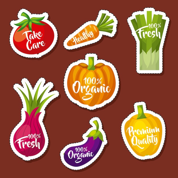 Vector healthy organic vegetarian foods related icons image